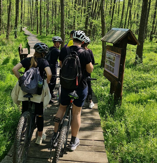 Team building –   ebike šumska tura